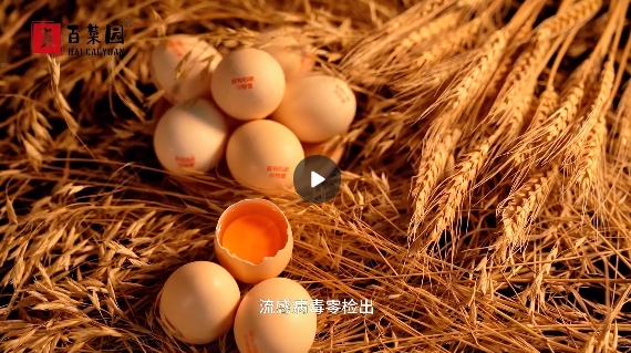 &#20048;&#40060;&#32593;&#39029;&#29256;&#45;&#20048;&#40060;&#40;&#20013;&#22269;&#41;&#23448;&#26041;